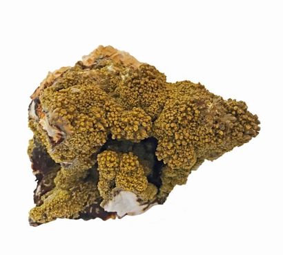 null PYROMORPHITE, Les Farges, France (10 cm) : élégants agrégats sphériques de petits...