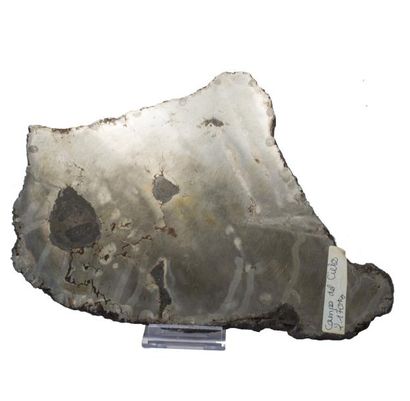 null METEORITE de Campo Del Cielo, Argentine (1576) : plaque de sidérite octaédrite...