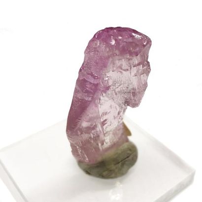 null Deux jolis gemmes des Minas Gerais, Brésil. KUNZITE rose (soclée), de Urucum...