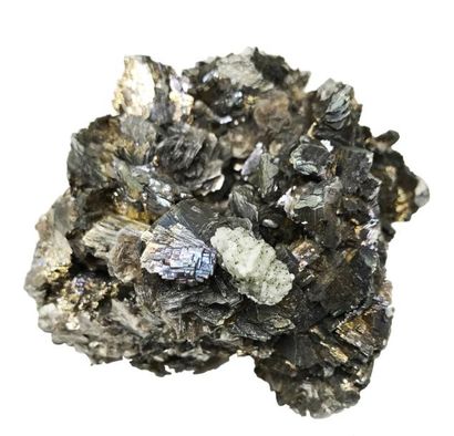 null Lot de deux minéraux de Panasqueira, Portugal : FERBERITE et sidérite (12 cm)...