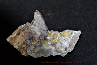 null Flat de huit jolis petits minéraux nord américains (ex. M.Legros) : WULFENITE...