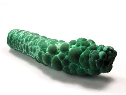 null MALACHITE du Katanga, R.D. du Congo : très élégante stalactite concrétionnée,...