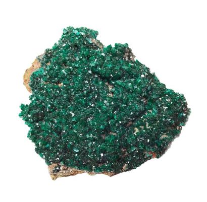 null DIOPTASE de Rénéville, Congo : belle petite plaque de cristaux vert vif (10...