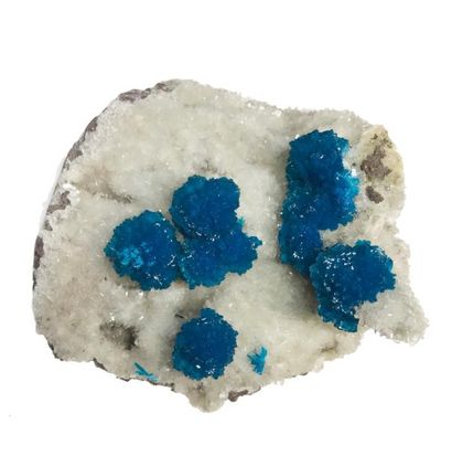 null Deux minéraux d'Inde : CAVANSITE (8 cm) en agrégats bleu électrique, avec pentagonite,...