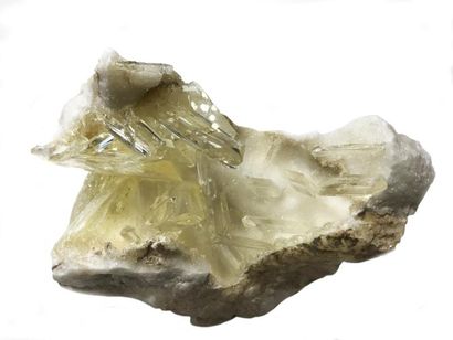 null GYPSE / SELENITE de Swift current, Saskatshevan, Canada (15 cm) : cristaux translucides...