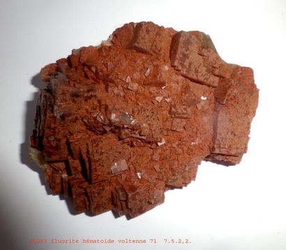 null Flat de 9 FLUORINES françaises (ex. M. Legros) : anthozonite de Givay (16 cm)...