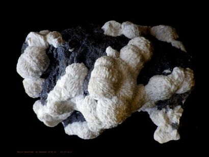 null Flat de 12 minéraux français (ex. M. Legros) : BARYTE bleue (11 cm), CALCITE...