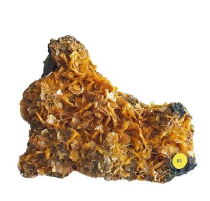 null Jolie WULFENITE de Los Lamentos, Mexique : tablettes centimétriques jaune-brun,...