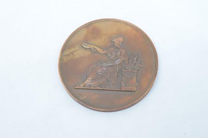 null [ Médaille ] [ France ] [ Dubois & Brenet ]

Médaille en bronze

Avers : Minerve...