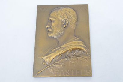 null [ Médaille ] [ Pasteur ] [ Prud'homme ]

Médaille de table en bronze Louis Pasteur...