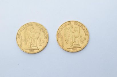 null [ Pièce en or ]



Deux pièces de 20 francs " Génie " 



( 1 x 1877 A - 1 x...