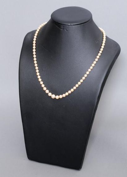 null Collier de perles de culture en chute. Fermoir en or jaune 18k (750)

Poids...