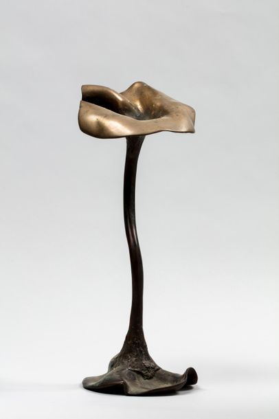null TULLIO Anita, 1935-2014

Fleur

bronze à patine brun foncé de vert (oxydations),...