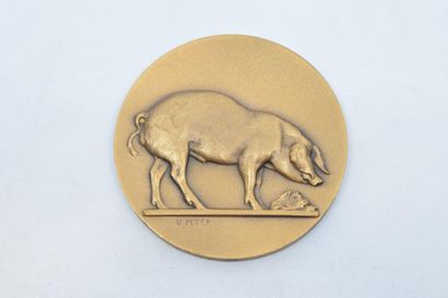 null [ ARTHUS BERTRAND ] [ PETER ]

Médaille uniface en bronze doré représentant...