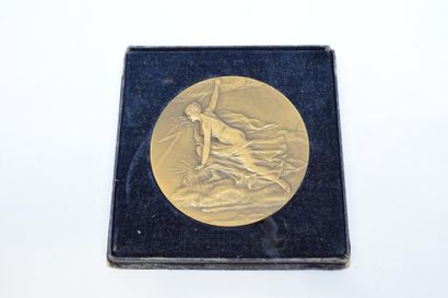 null [ Pillet ] 



Médaille en bronze

A l'avers : allégorie de l'électricité -...