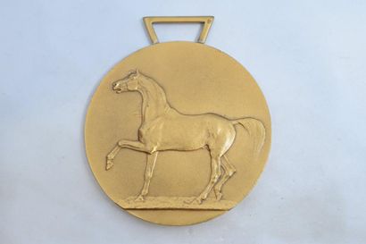 null [ ARTHUS BERTRAND ]

Médaille ronde en bronze doré représentant un cheval à...