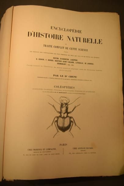 null CHENU Jean-Charles (docteur), Encyclopédie d'histoire naturelle : Oiseaux, Coléoptères,...
