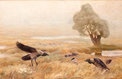 null OLSZEWSKI Karl Ewald (1884-1965)

Oiseaux dans un champ, 

huile sur toile (accidents...