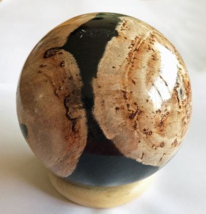 null Sphère polie de bois fossilisé (palmier) d'Indonésie (9 cm) : élégant graphisme,...