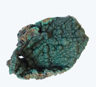 null Malachite mamelonnée brillante (20 x 17 cm) de Mindigi, Congo 