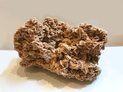 null Elégante rose des sables d'Afrique du Nord (35 x 20 x 20 cm)