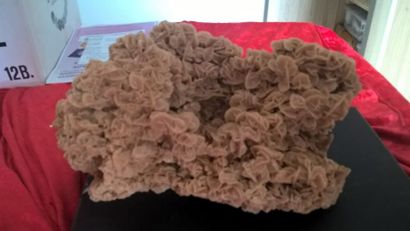 null Elégante rose des sables d'Afrique du Nord (35 x 20 x 20 cm)