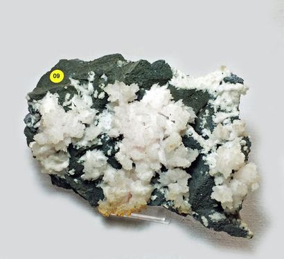 null Flat de 10 intéressants minéraux : blende / chalcopyrite (11 cm) ; galène /...