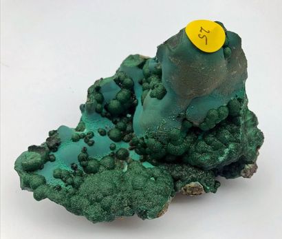 null Quatre minéraux du Katanga, R.D. Congo : trois malachites associées à du chrysocolle...