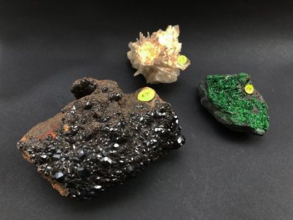 null Trois minéraux russes : grenats brun foncés sur gangue (15 cm) de Dal'negorsk...