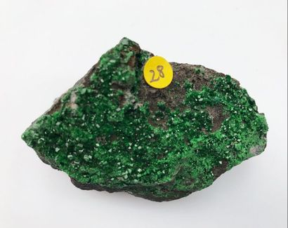 null Trois minéraux russes : grenats brun foncés sur gangue (15 cm) de Dal'negorsk...
