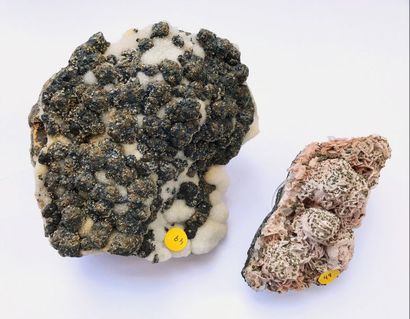 null Deux minéraux mamelonnés saupoudrés de pyrite : rhodochrosite crêtée en roses...
