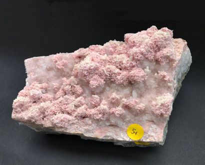 null Rhodochrosite rose en buissons et quartz, sur gangue pyriteuse (sciée à sa base)...