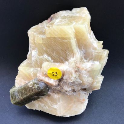 null Apatite brune de l'Ontario, Canada : cristal biterminé brillant (5 cm) sur rhomboèdres...