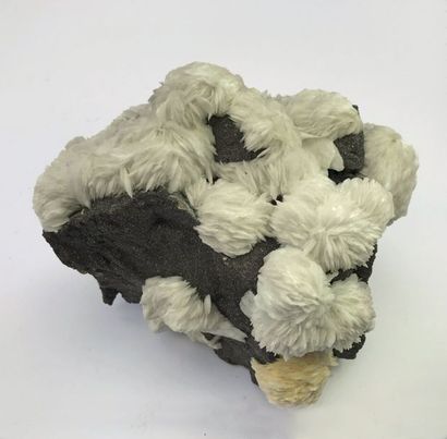 null Jolis pompons de baryte blanche crêtée sur blende (15 cm), sauf un jaune. Un...