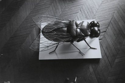 null PHOTOGRAPHIE. BARBEY Bruno (né en 1941). Statue d'une mouche. Tirage argentique....