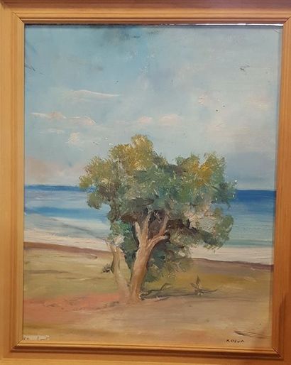 null KOVEA EHLINGER Radka, XXe siècle

arbre au bord de la plage 

Huile sur carton...