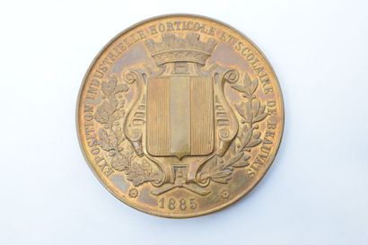 null [ Médaille ] [ Exposition XIXème ] [ Oise ]

Médaille en bronze. 

Avers : allégorie...