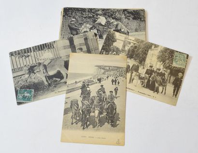 null ÂNES - ATTELAGES D'ÂNES

Ensemble de 20 cartes postales anciennes noir et blanc...