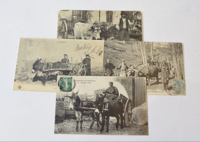 null AUVERGNE - BOURBONNAIS - ATTELAGES

13 cartes postales dont attelages de boeufs...