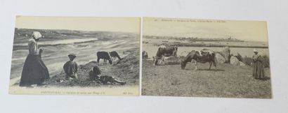 null BRETAGNE - GARDEUSE DE VACHES

2 cartes postales : Roscoff Gardeuse de vache...
