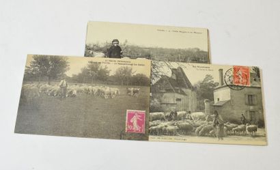 null REGION CENTRE - CREUSE - CORREZE - BERGERS

Ensemble de 14 cartes postales noir...