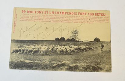 null CHAMPAGNE - BERGERS

99 moutons et un champenois font 100 bêtes!...

Amusante...