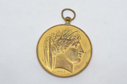 null Médaille en cuivre doré d'après F. Caqué

Avers : profil droit d'Ariane, en...