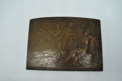 null Plaque en bronze représentant le Fil de la Vierge, par P.Lenoir. 

Dim : 10.5...
