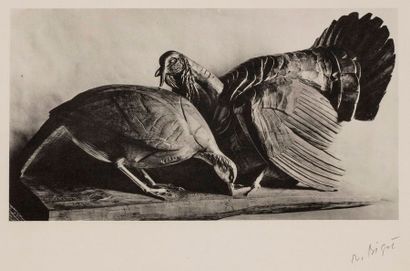 null BIGOT Raymond, 1872-1953

R. Bigot, sculpteur et peintre animalier, préface...