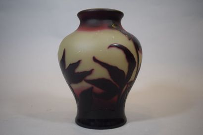 null SAINT-LOUIS - NANCY

Vase balustre en verre doublé brun rouge sur fond orangé....
