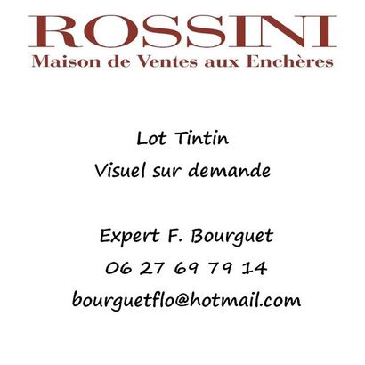 null HERGE Tournesol jumelle Leblon pour Moulinsart résine 45921 (boîte, certificat)...