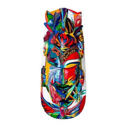 Maya Wnu Maya Wnu
Mask
Technique mixte sur bois
65 x 25 x 10 cm
2017