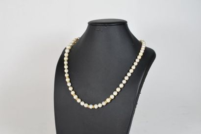 null Collier de perles de cultures alternant des anneaux d'or jaune 18k (750) cannelés....