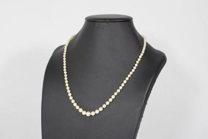 null Collier de perles de culture en chute. Fermoir en or jaune 18k (750). 

Longueur...